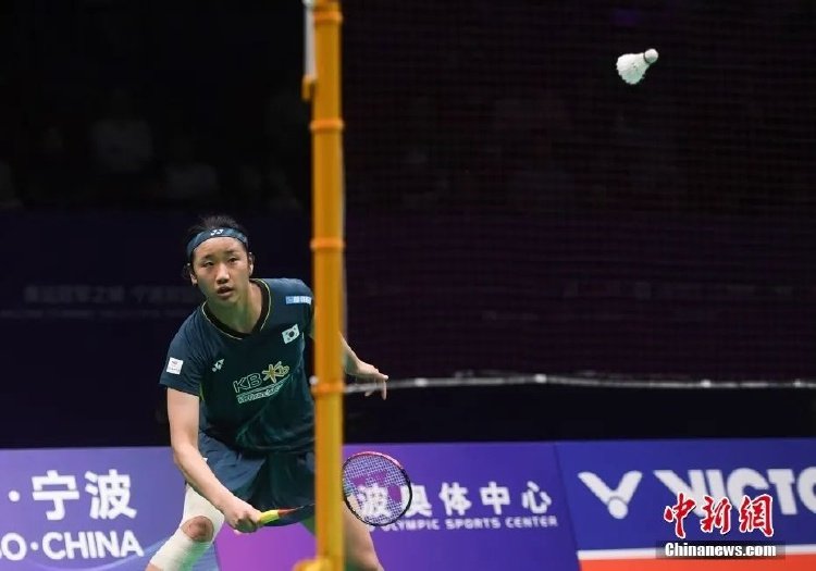 不仅仅是指 不仅仅是指